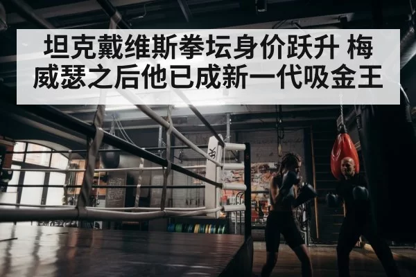 坦克戴维斯拳坛身价跃升 梅威瑟之后他已成新一代吸金王